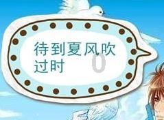 新飞飞