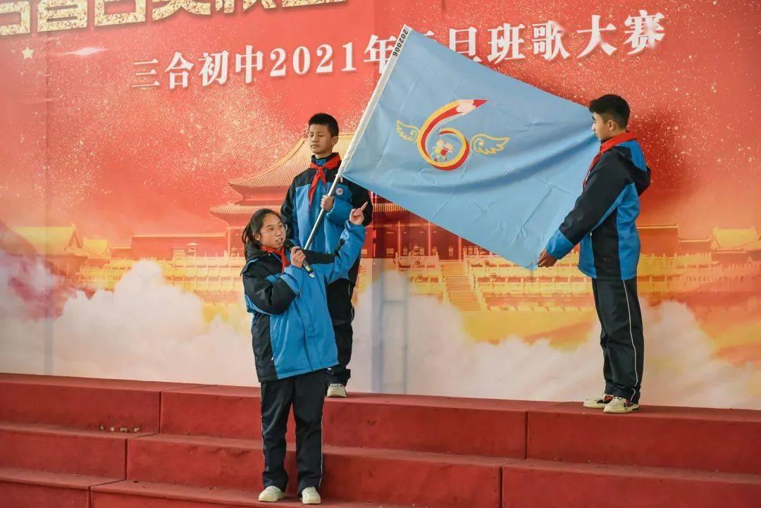 破碎的动物图形